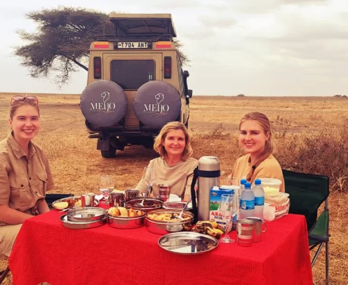 Private Africa Safaris Trips and Tanzania Safari Packages