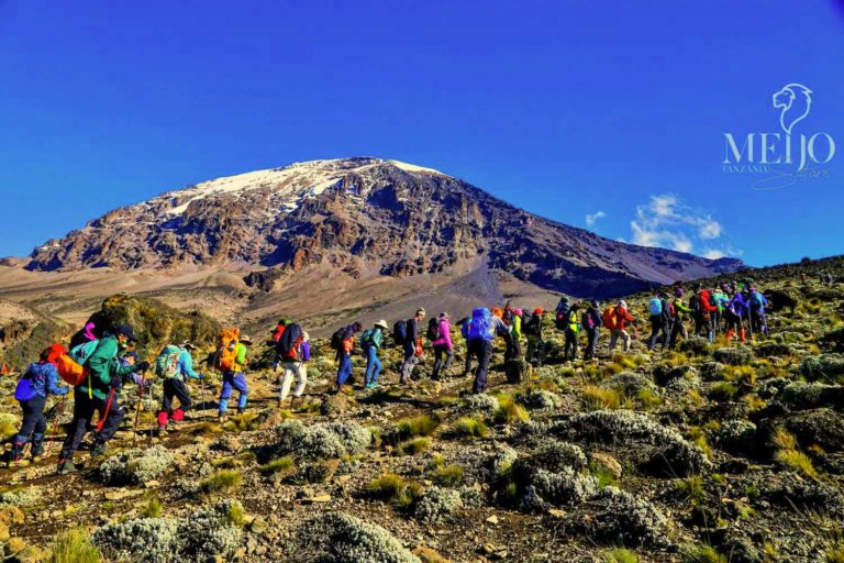 7 Days Machame Route Kilimanjaro Climbing