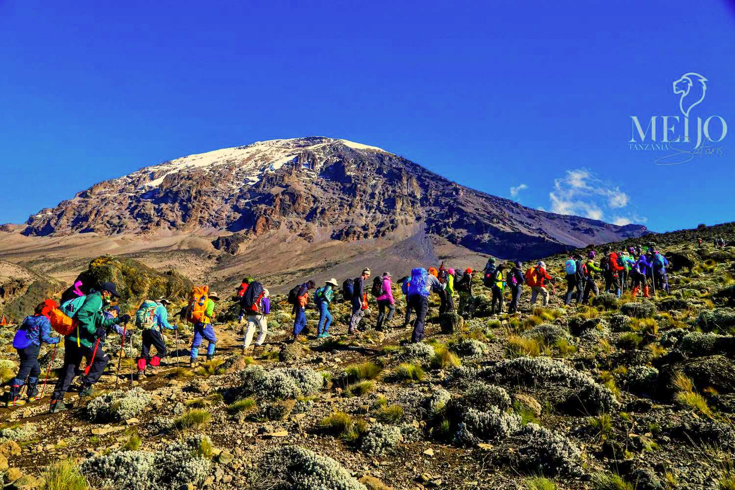 7 Days Machame Route Kilimanjaro Climbing