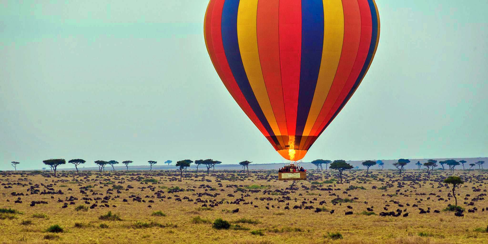Serengeti Hot Air Balloon