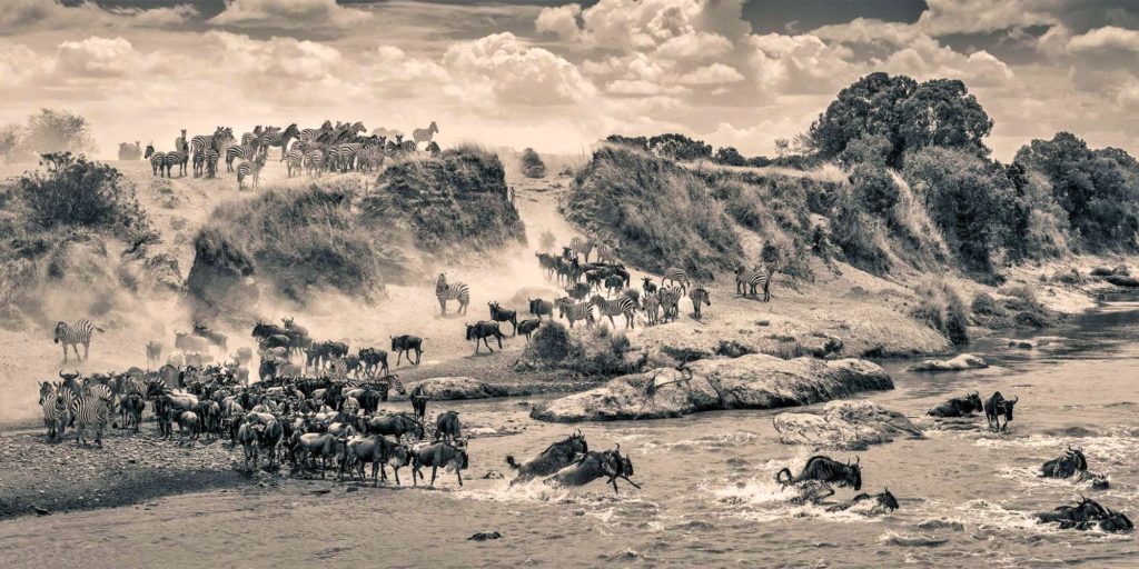 Serengeti Wildebeest Migration Safari