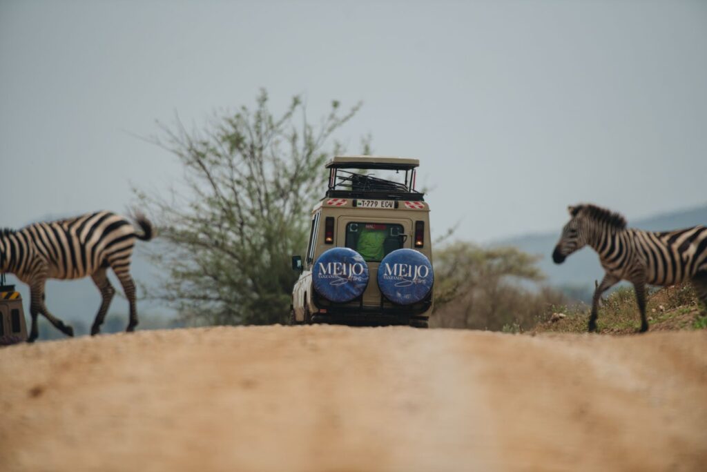 5 Days Tanzania Luxury Safari