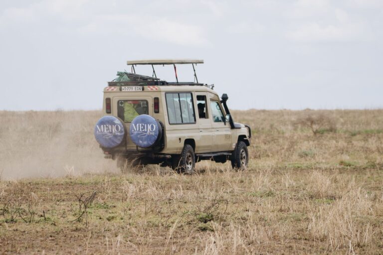 8 Days Tanzania Mid-Range Safari