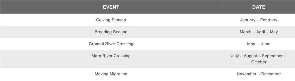 Wildebeest Migration Seasons