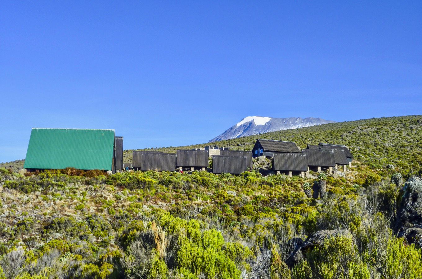 6 Days Marangu Route Kilimanjaro Climbing