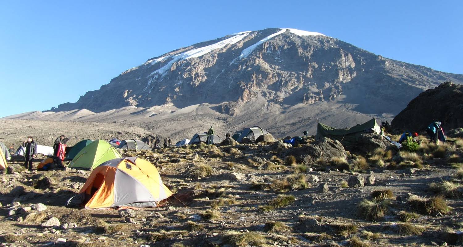8 Days Lemosho Route Kilimanjaro Climbing