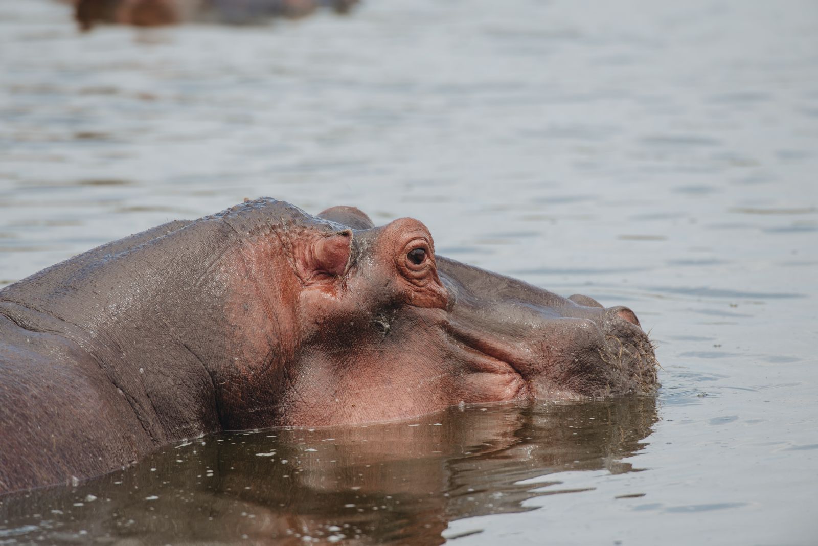 Lake Manyara National Park