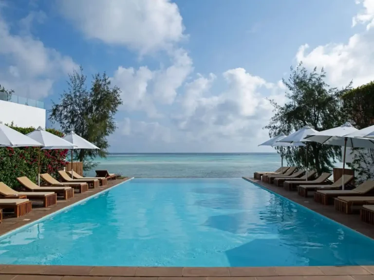 Nungwi Dreams by Mantis