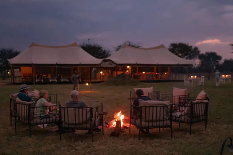 Intimate Camp Seronera