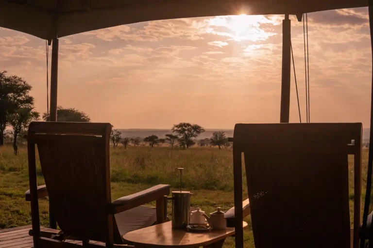 Intimate Camp Seronera