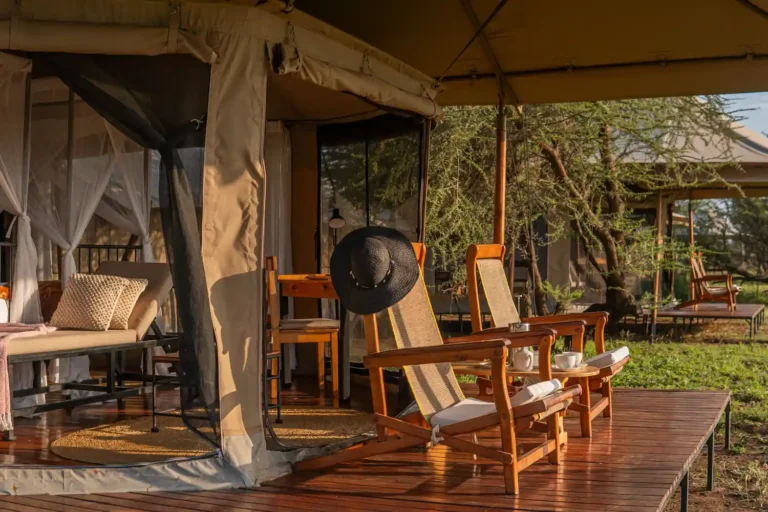 Intimate Camp Seronera