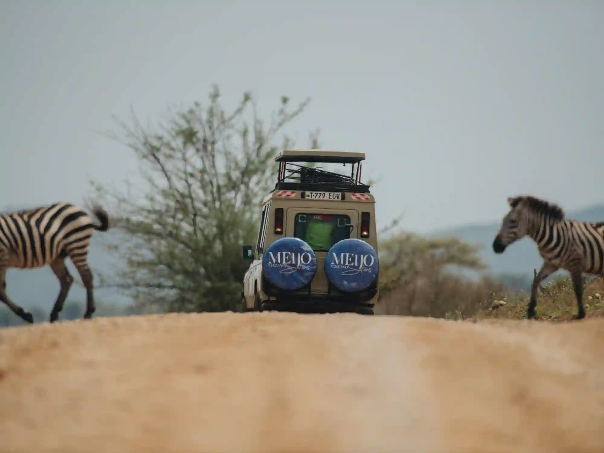 8 Days Tanzania Mid-Range Safari