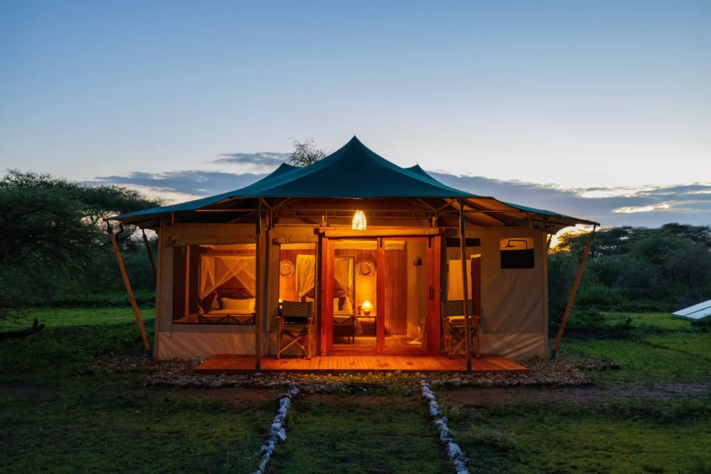 Safari Haven Migration Camp