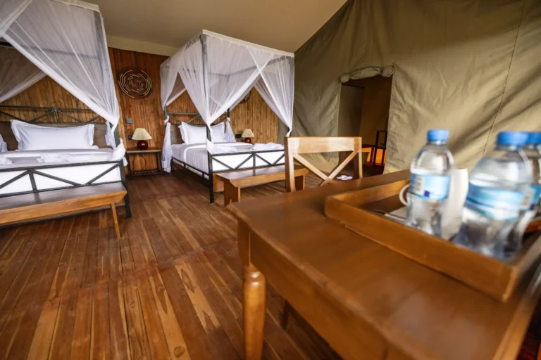 Safari Haven Migration Camp