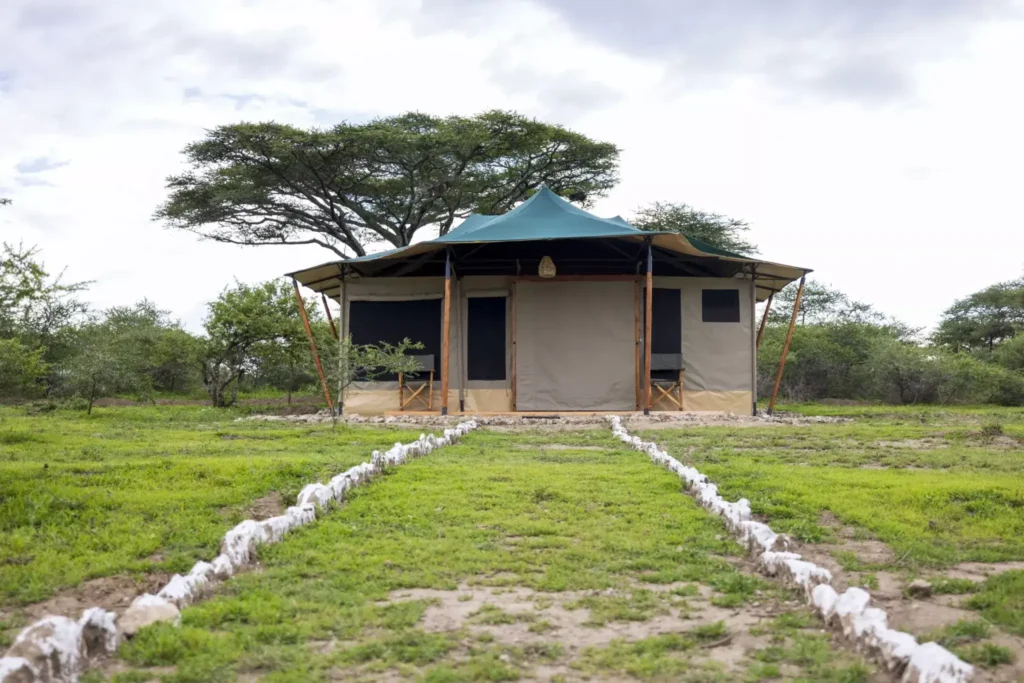 Safari Haven Migration Camp