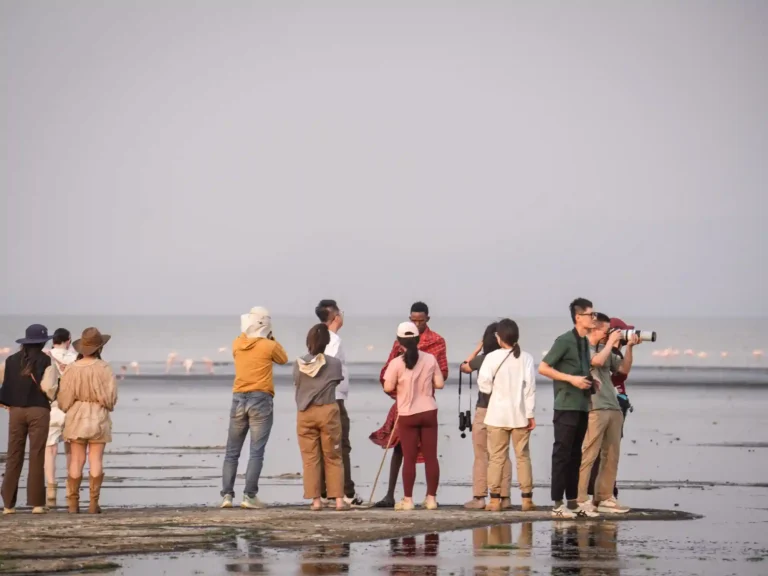 5 Days Wildebeest Migration Safari with Natron