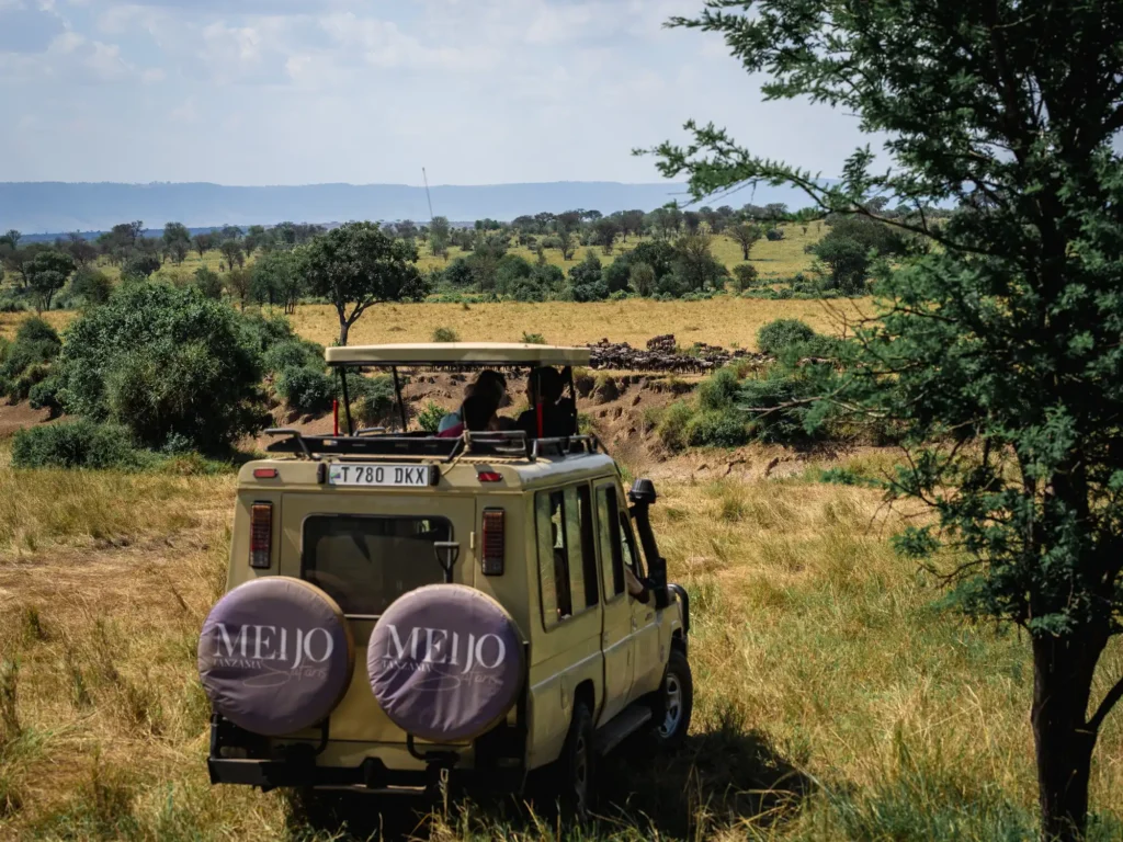 7 Days Wildebeests River Crossing Flying