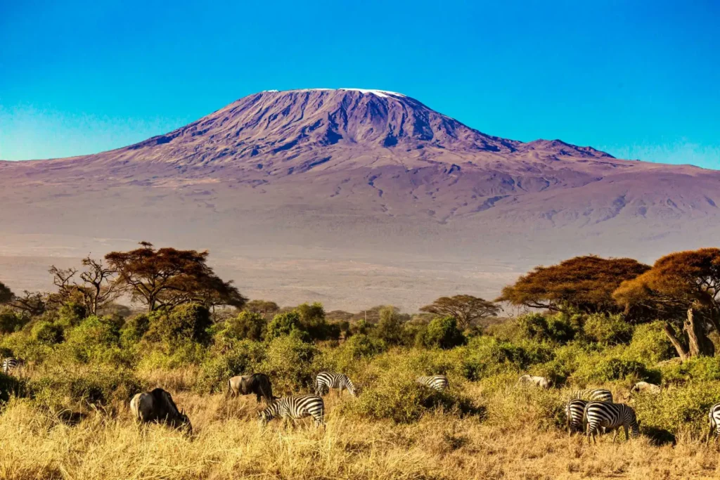 Kilimanjaro National Park Day Trip