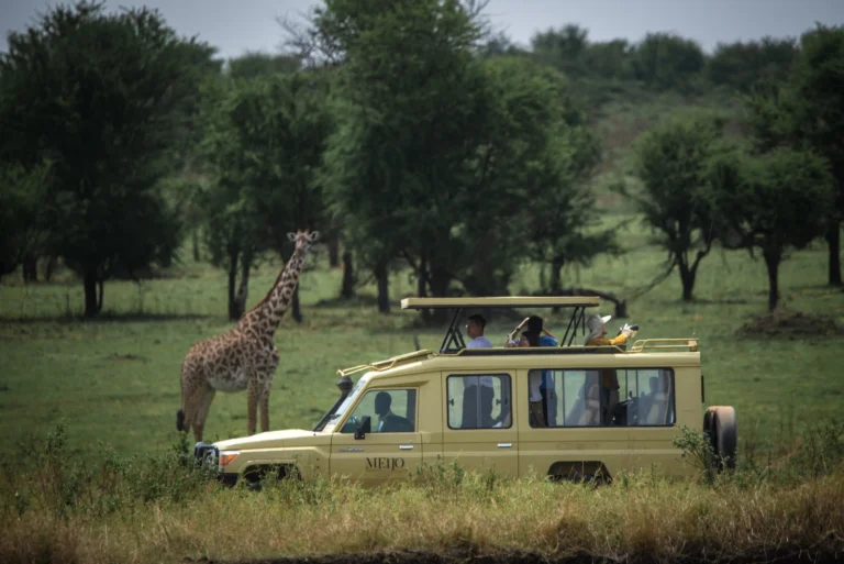 1 Day Ngorongoro Crater