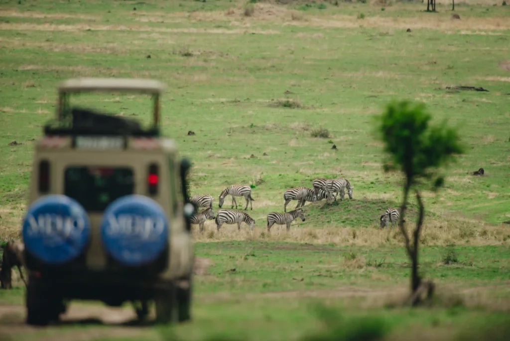 2 Days Tanzania Flying Safari