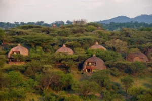 Serengeti Serena Luxury Lodge