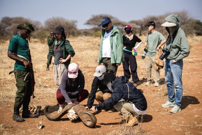 Arusha National Park with Walking Safari – 1 Day