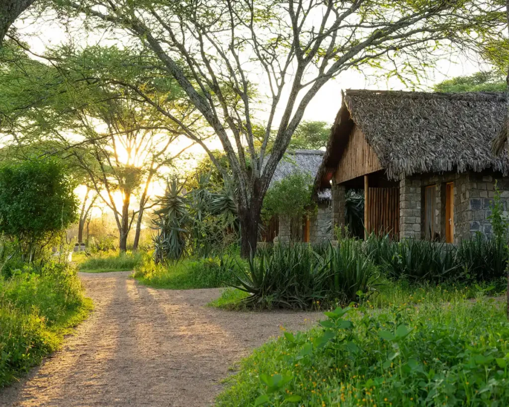 Lake Ndutu Luxury Tented Lodge