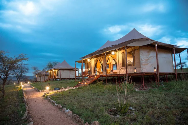 Matawi Tented Camp