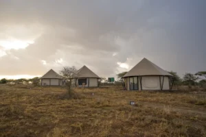 Mara River Luxury Camp By Malaika Camps