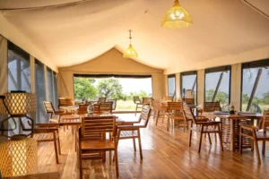Mara River Luxury Camp By Malaika Camps