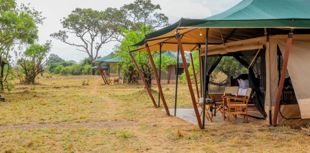 Untamed Migration Camp