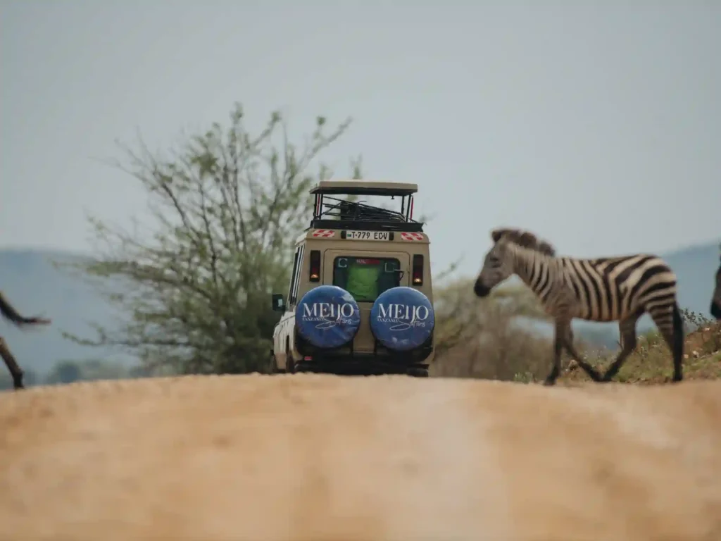 5 Days Tanzania Luxury Safari
