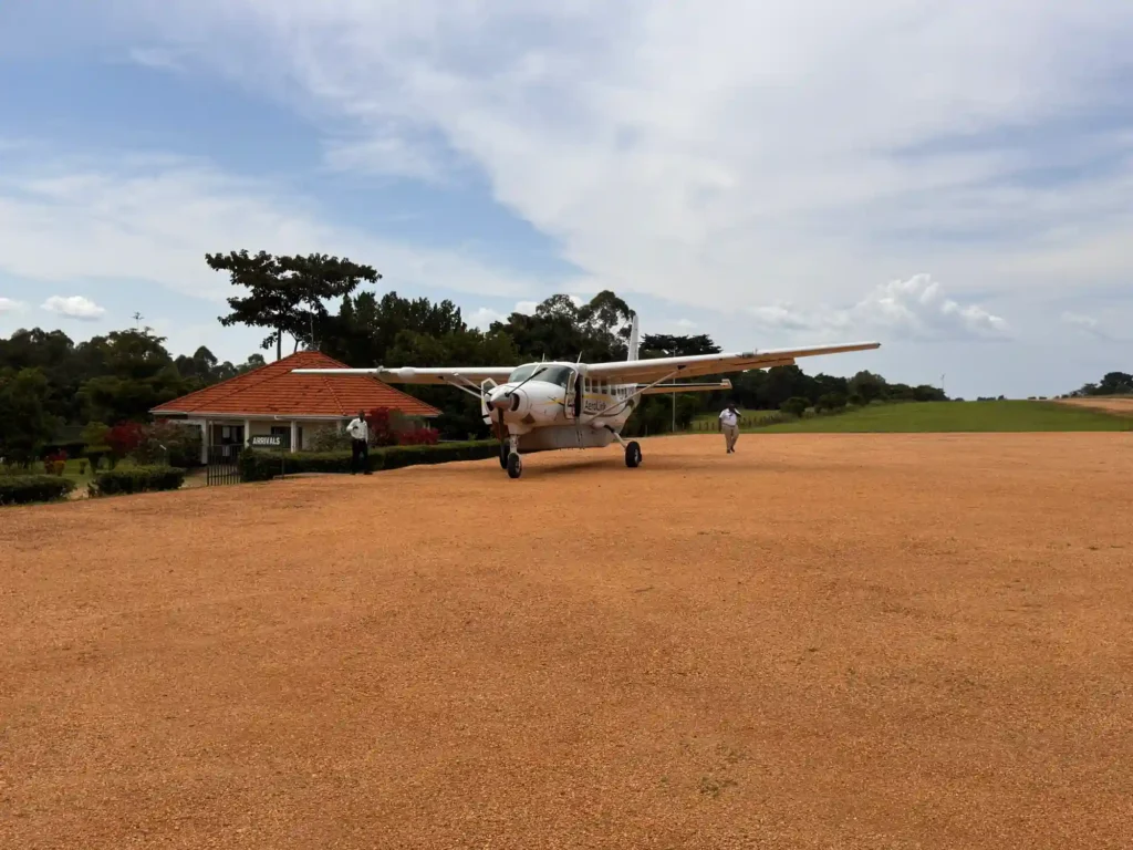 Tanzania Flying Safaris