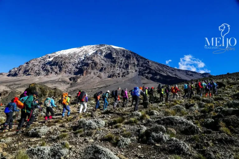 7 Days Machame Route Kilimanjaro Climbing