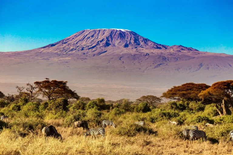 8 Days Lemosho Route Kilimanjaro Climbing