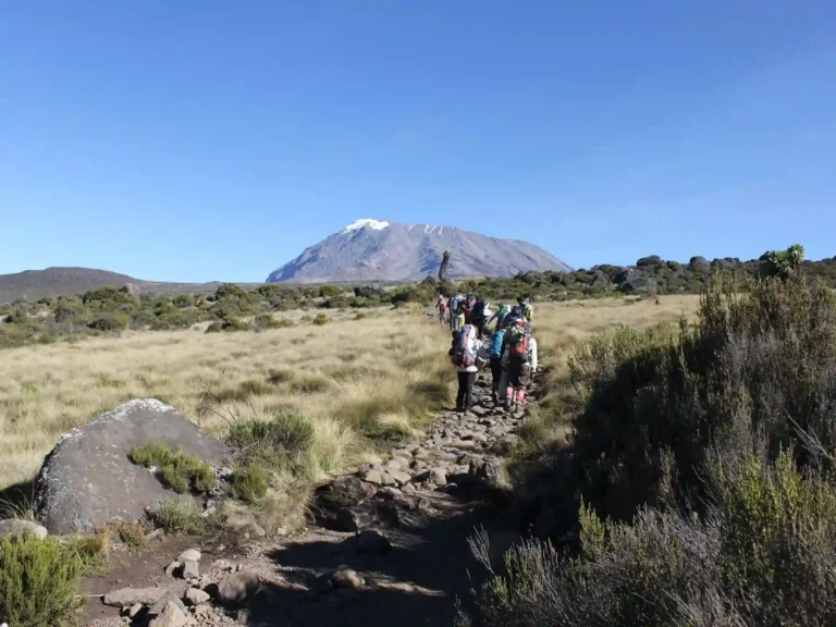 6 Days Marangu Route Kilimanjaro Climbing