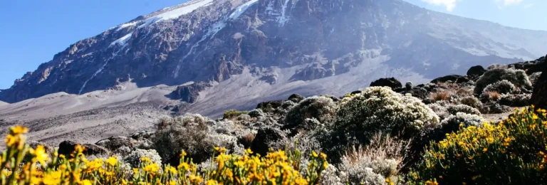 5 Days Marangu Route Kilimanjaro Climbing