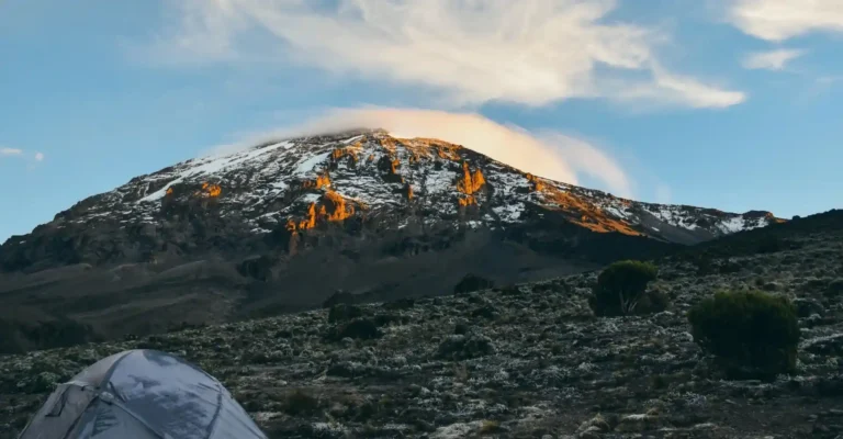 7 Days Lemosho Route Kilimanjaro Climbing